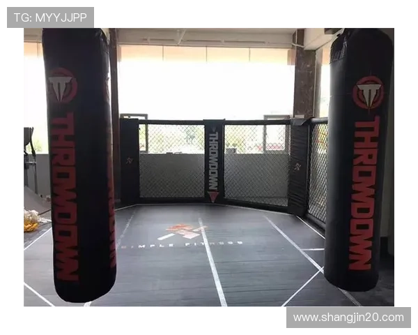 UFC207巅峰对决直播:龙争虎斗引爆八角笼激战夜 UFC207巅峰对决直播:龙争虎斗引爆八角笼激战夜