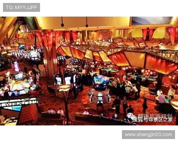 澳门德晋集团官网：探索澳门博彩业的领军企业